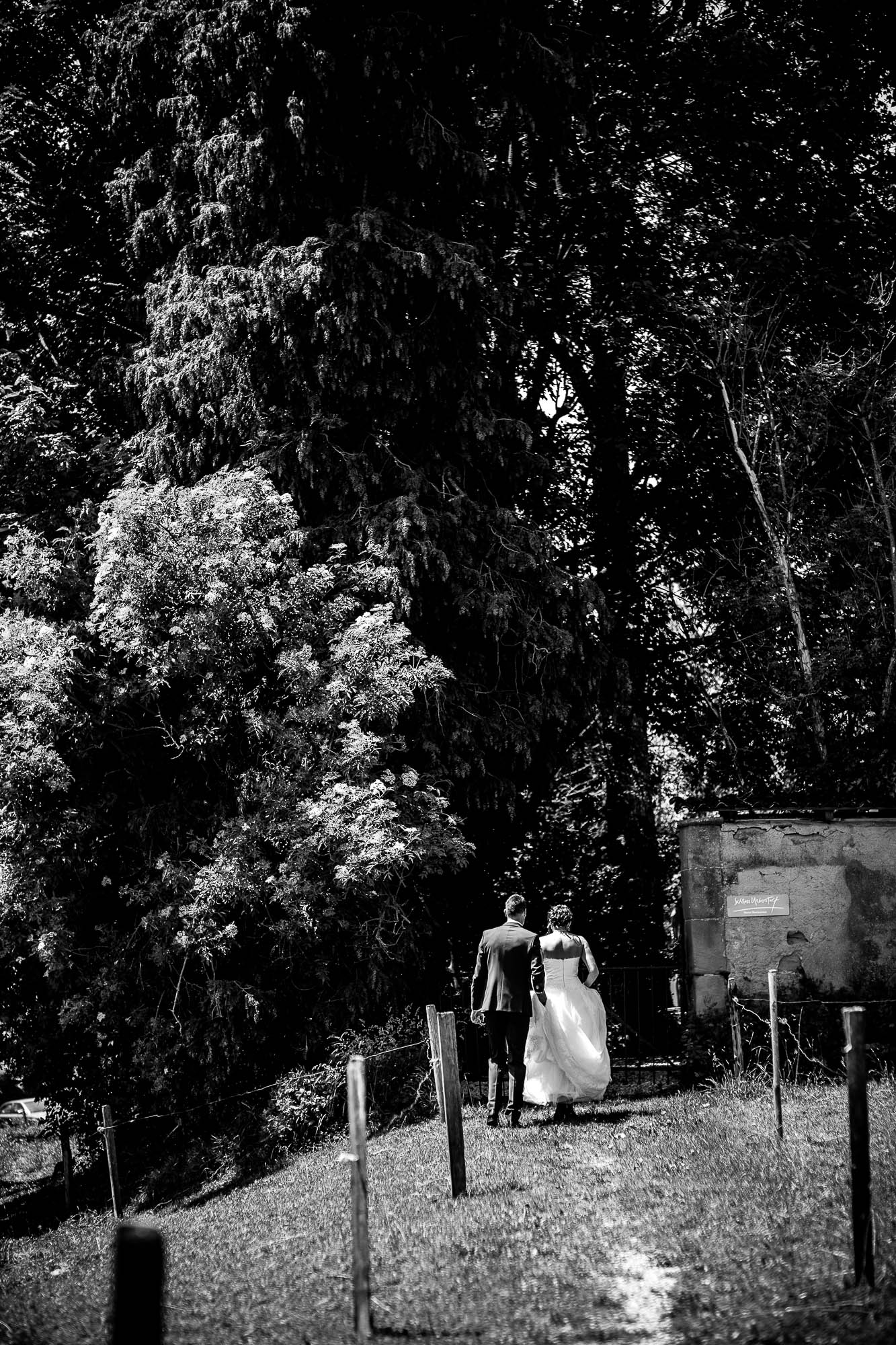 Export x3 1DX27605 Hochzeit 2020 Claudia & Marco 3